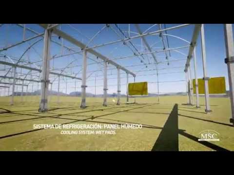 Datei:HddC0NVi Lo.jpg