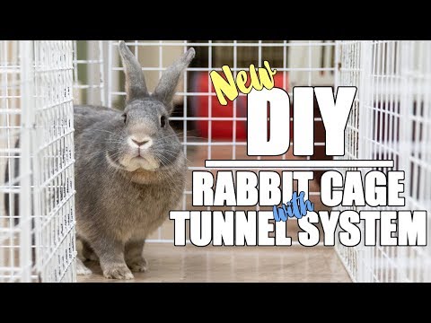 Datei:QuKUg vvmbw.jpg