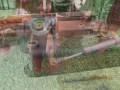 Z4fodU4zM5E.1.jpg
