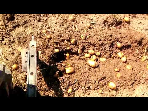 Datei:TA02LK8 etE.jpg