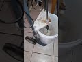 FHxYSwY tOE.2.jpg