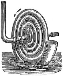 1929.5.jpg
