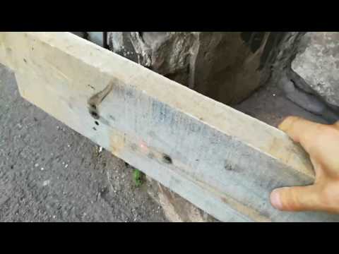 Datei:ZWQ wJ7yfuQ.jpg