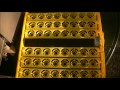 WEfAA DqVXw.2.jpg