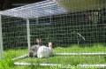 Vorschaubild der Version vom 11. Februar 2019, 12:29 Uhr