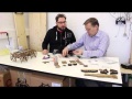 Vorschaubild der Version vom 31. Januar 2019, 23:57 Uhr