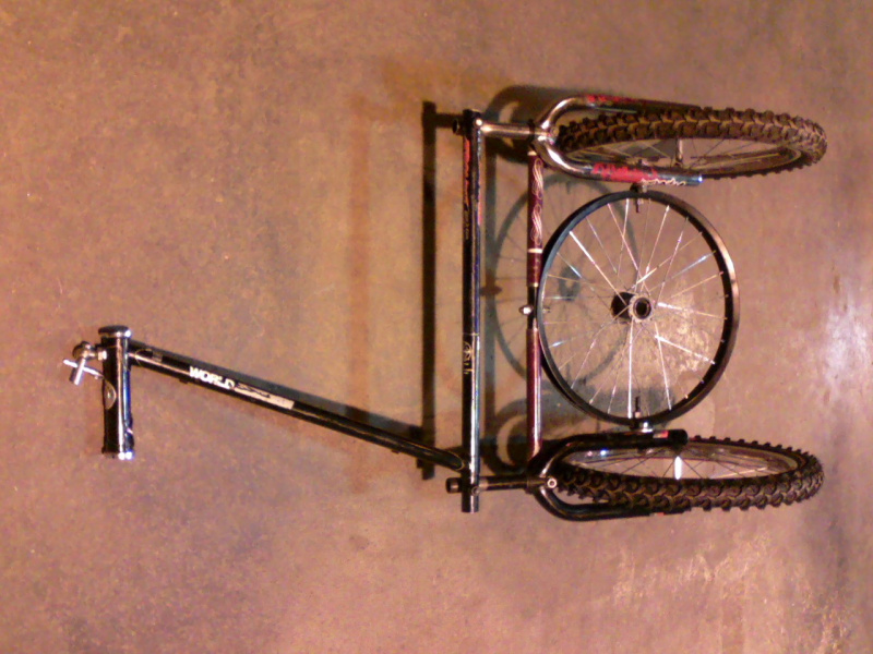 Datei:2565.1.jpg