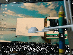 1001.2.gif