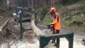 Vorschaubild der Version vom 16. Mai 2019, 19:07 Uhr
