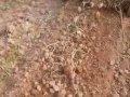 Vorschaubild der Version vom 24. Oktober 2018, 09:28 Uhr