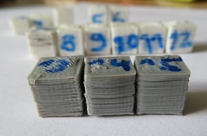 1161.1.jpg