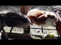 Vorschaubild der Version vom 24. Oktober 2018, 09:00 Uhr