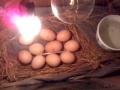 Vorschaubild der Version vom 1. Februar 2019, 08:25 Uhr