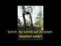 Vorschaubild der Version vom 1. Februar 2019, 00:55 Uhr