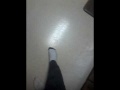 Vorschaubild der Version vom 1. Februar 2019, 18:29 Uhr