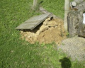 Vorschaubild der Version vom 16. Mai 2019, 19:57 Uhr