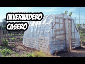 TnJEKyqARg8.jpg